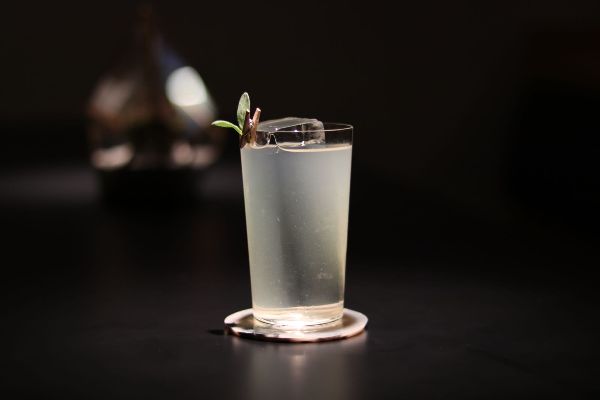 Scout-drink